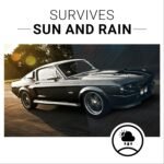 CAR GUYS Plastic Restorer | Bring Plastic, Rubber, and Vinyl Back to Life! | User Friendly Trim Restorer | Safe Auto Detailing Supplies | 8 Oz Kit with Foam Applicator - Image 5