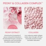 LANEIGE Bouncy and Firm Sleeping Mask: Revitalize, Smooth, Peony & Collagen Complex, Barrier-Boosting Hydration - Image 5